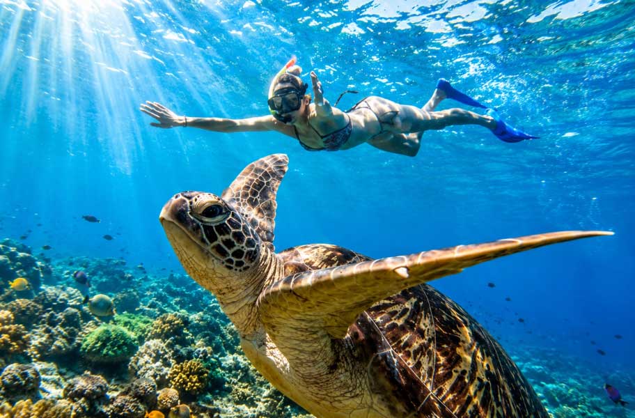 Snorkeling activity in Bali