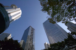 wiezowiec.01.250x167