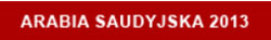 130213.arabia.saudyjska.250