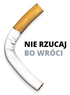 141120.palenie.01.247