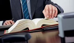 nbs.2014.11.foto.025.250x