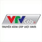 3. VTVCab
