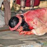 57434204_2205182139573779_3740077351220805632_n