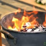 61366160_2276197565805569_3002461067965104128_n