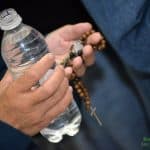 61766673_2276198192472173_9149737124667326464_n