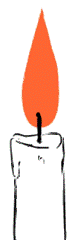 Vela