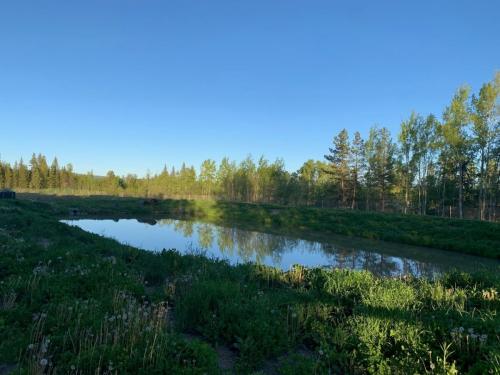Lagoon