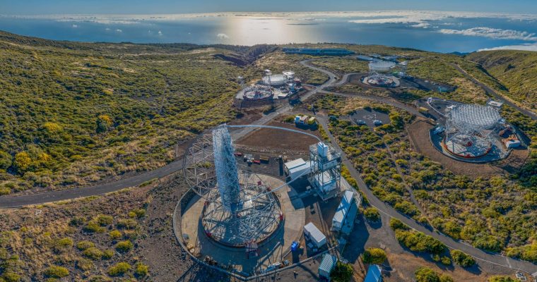 Nuevo servicio de videos de stock de canarias de alta calidad