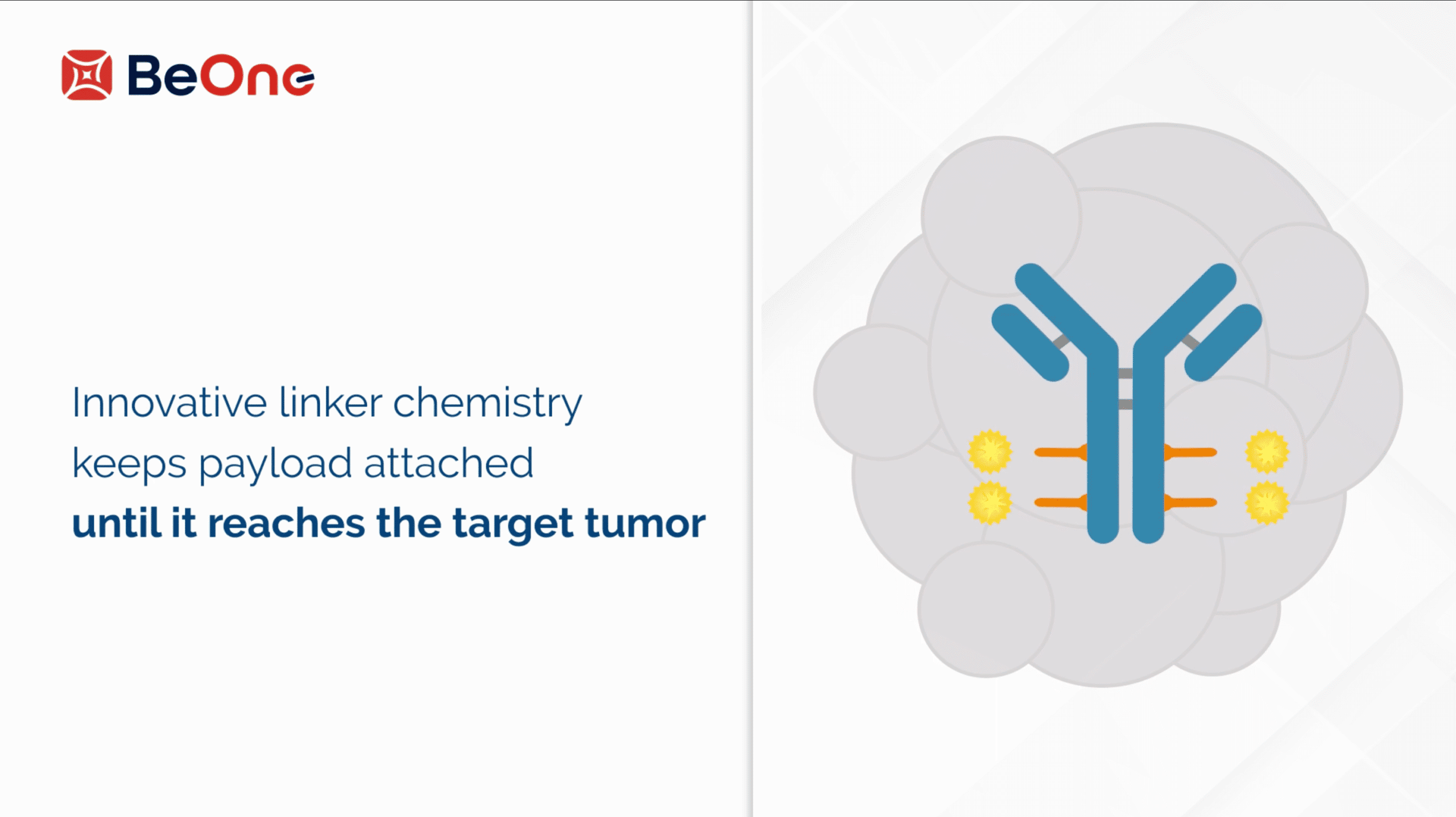 Illustration of antibody-drug conjugate showing stable linker chemistry that releases payload only at the target tumor site.