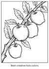 Apple Coloring Pages – 100+ Free Printable Worksheets - Post Thumbnail