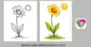 Cute March Coloring Pages – Flowers Animals & Kites - Post Thumbnail