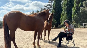 DCR, Ruby, Melody and Woman Journaling Adjusted Size