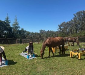 Karen Crozier & Trist, on mats, reformers and horses in background