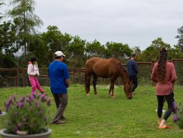 Rob Owen, Mindful Movement, Ruby in circle, participants backs in pic