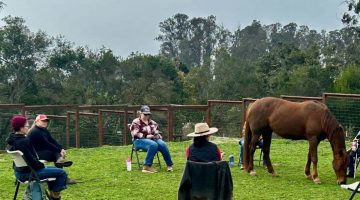 Ruby in LGBTQ+ Circle