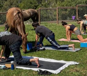 Yoga, Rick, Tanner and Jess doing Low Lunge