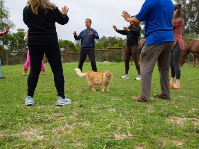 appointmentType-thumb-78487481