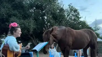 Outdoor special event with musician playing guitar to a horse and audience at Beyond Liberty community wellness program