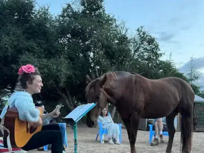Outdoor special event with musician playing guitar to a horse and audience at Beyond Liberty community wellness program