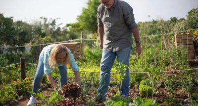 Planting Seeds of Healing: How Gardening Mirrors the Therapy Journey