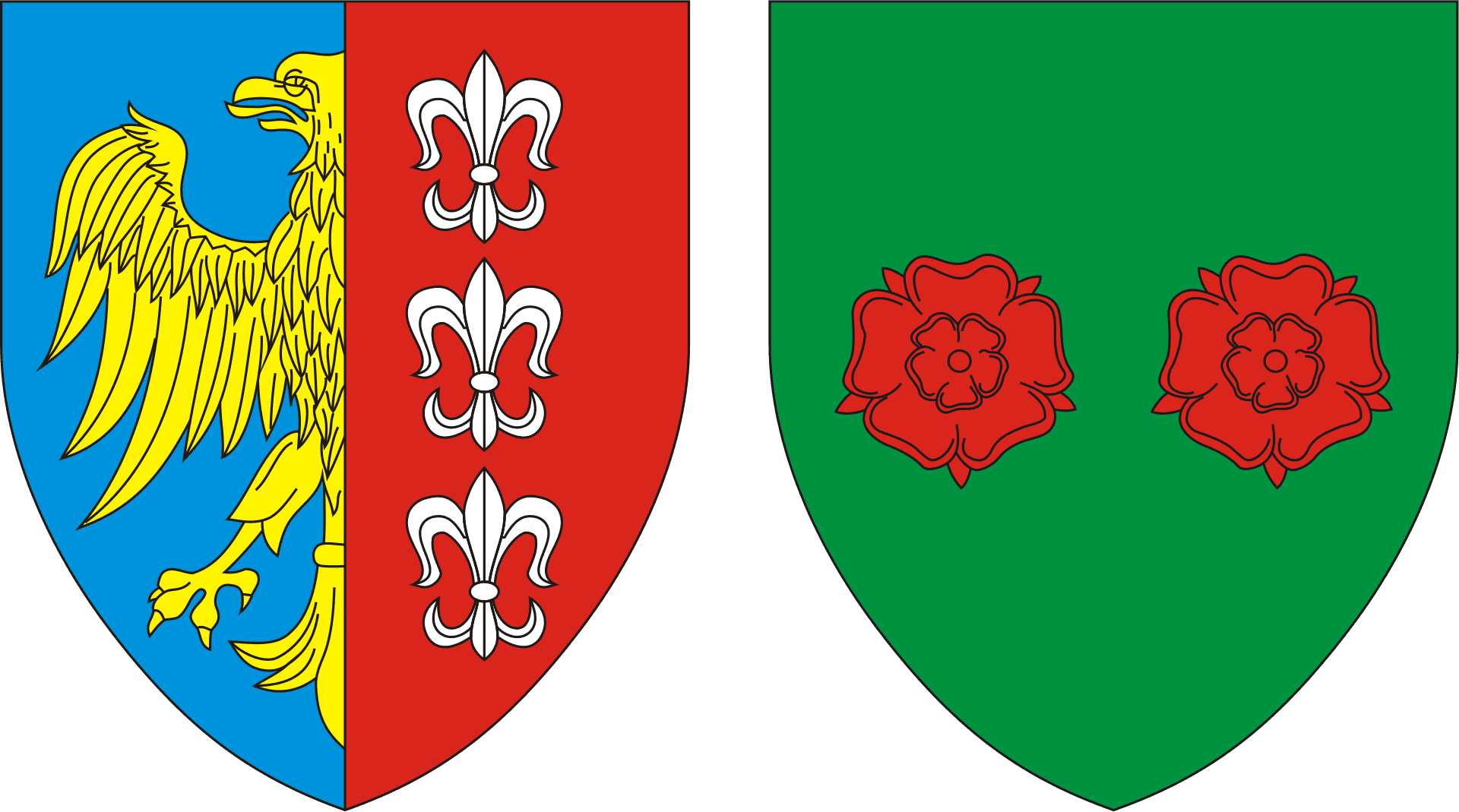 herb Bielsko-Biała