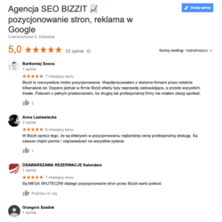 opinie agencja seo bizzit