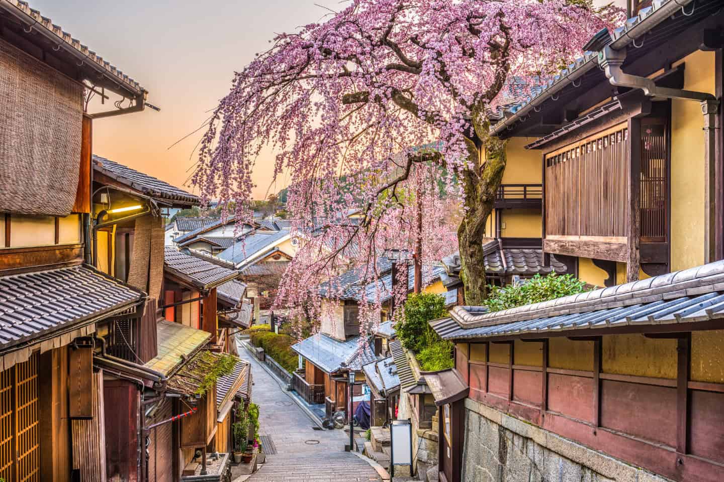 Kyoto City's array