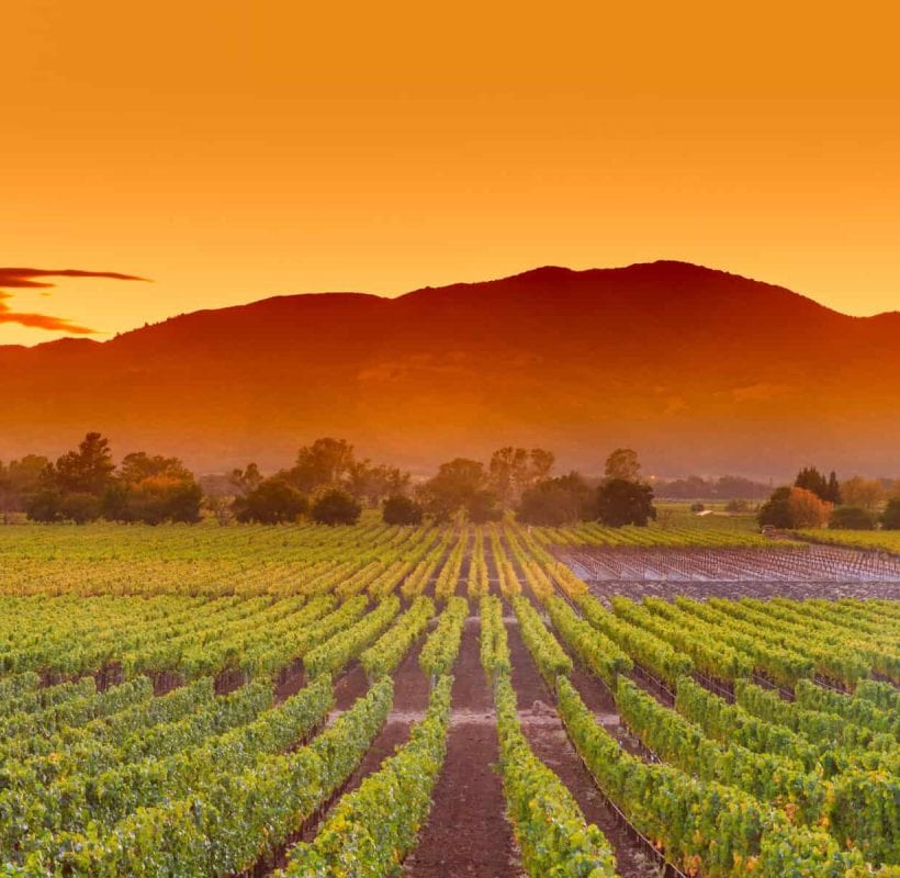 Napa Valley Wine Country Tour