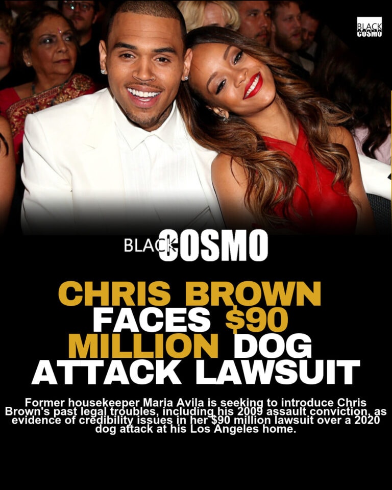 Chris Brown Ex-Housekeeper: Rihanna Assault Case