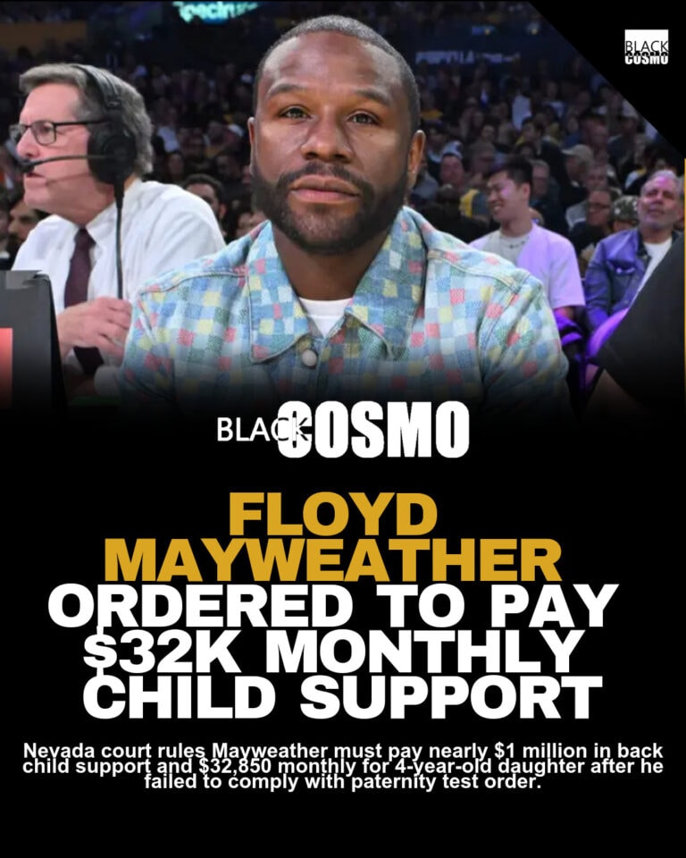 Floyd Mayweather Baby: $1M Child Support Ruling