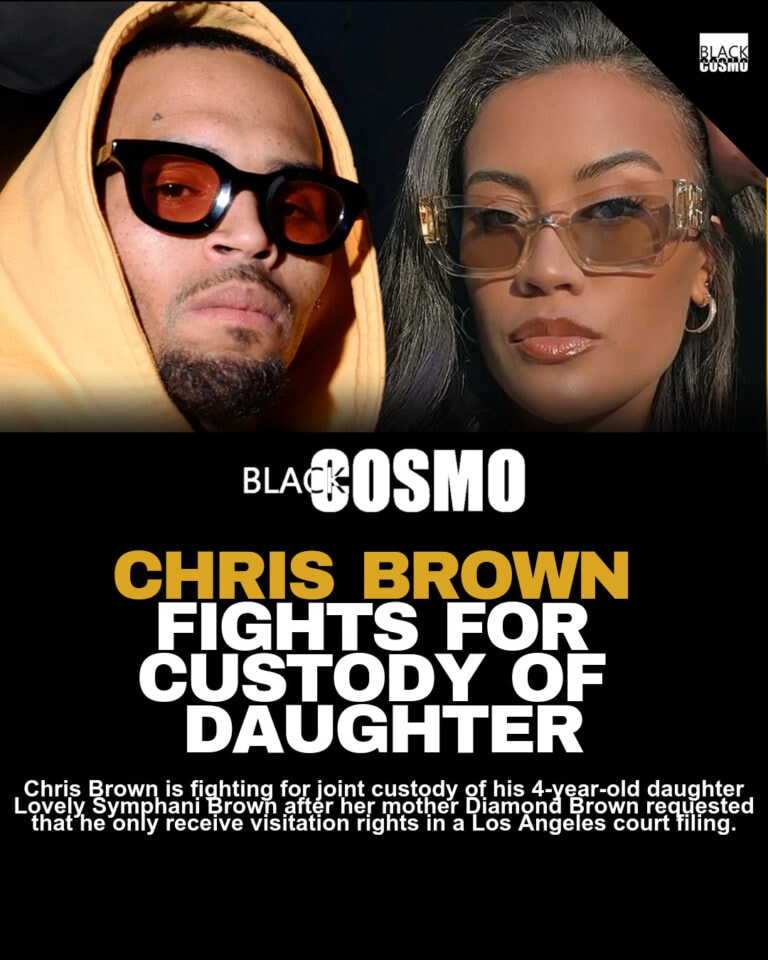 Chris Brown Responds to Baby Mother Diamond’s Custody Bid