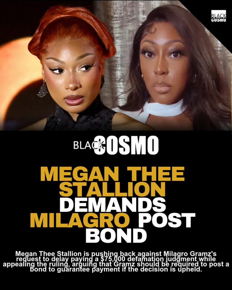 Megan Thee Stallion Seeks $75K From Blogger for Appeal Bond