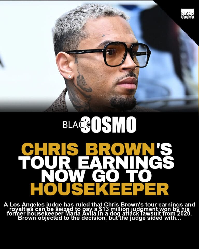 Chris Brown Owes Ex-Housekeeper $13M From Tour Income