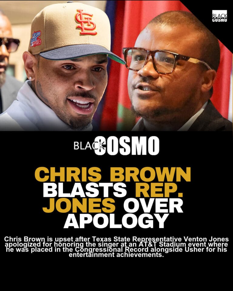 Chris Brown Slams Texas Rep. Over Apology
