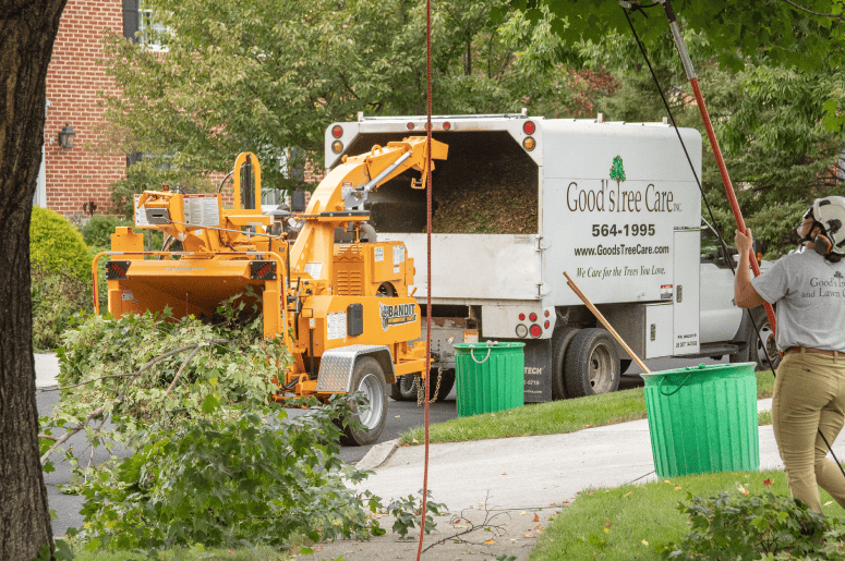 Browse Specs and more for the Bandit INTIMIDATOR™ 15XPC – Towable Chipper - Bobcat of North Texas
