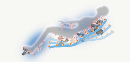 Удлиненная <span>SL-Shape каретка </span> 135 см