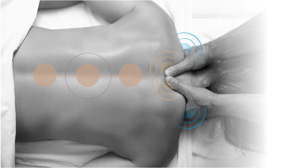 Выберите <span>область массажа</span>