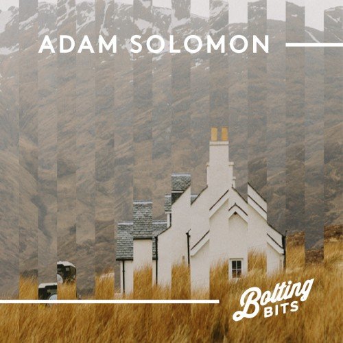 MIXED BY/ Adam Solomon