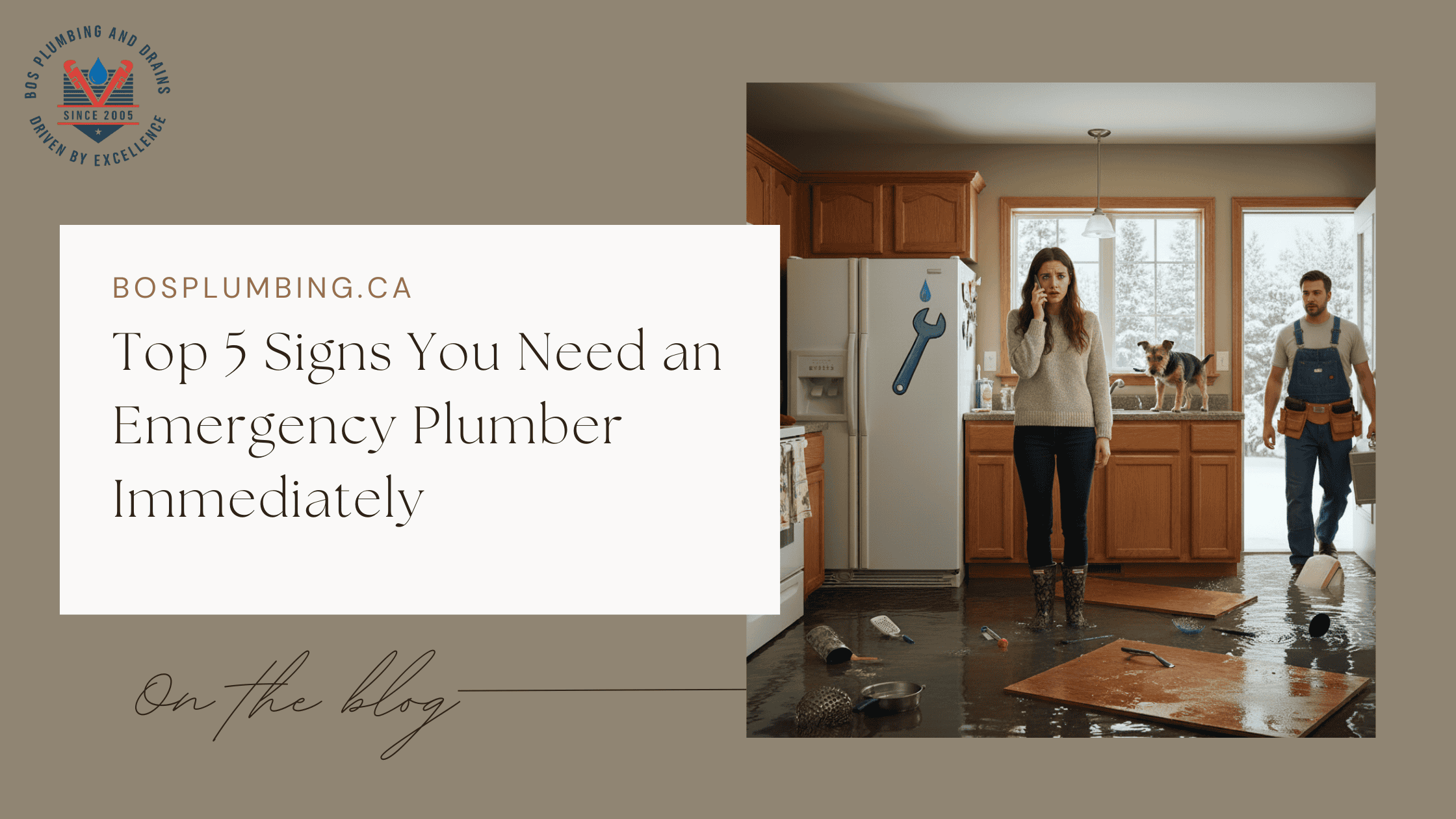 Top 5 Signs You Need an Emergency Plumber Immediately
