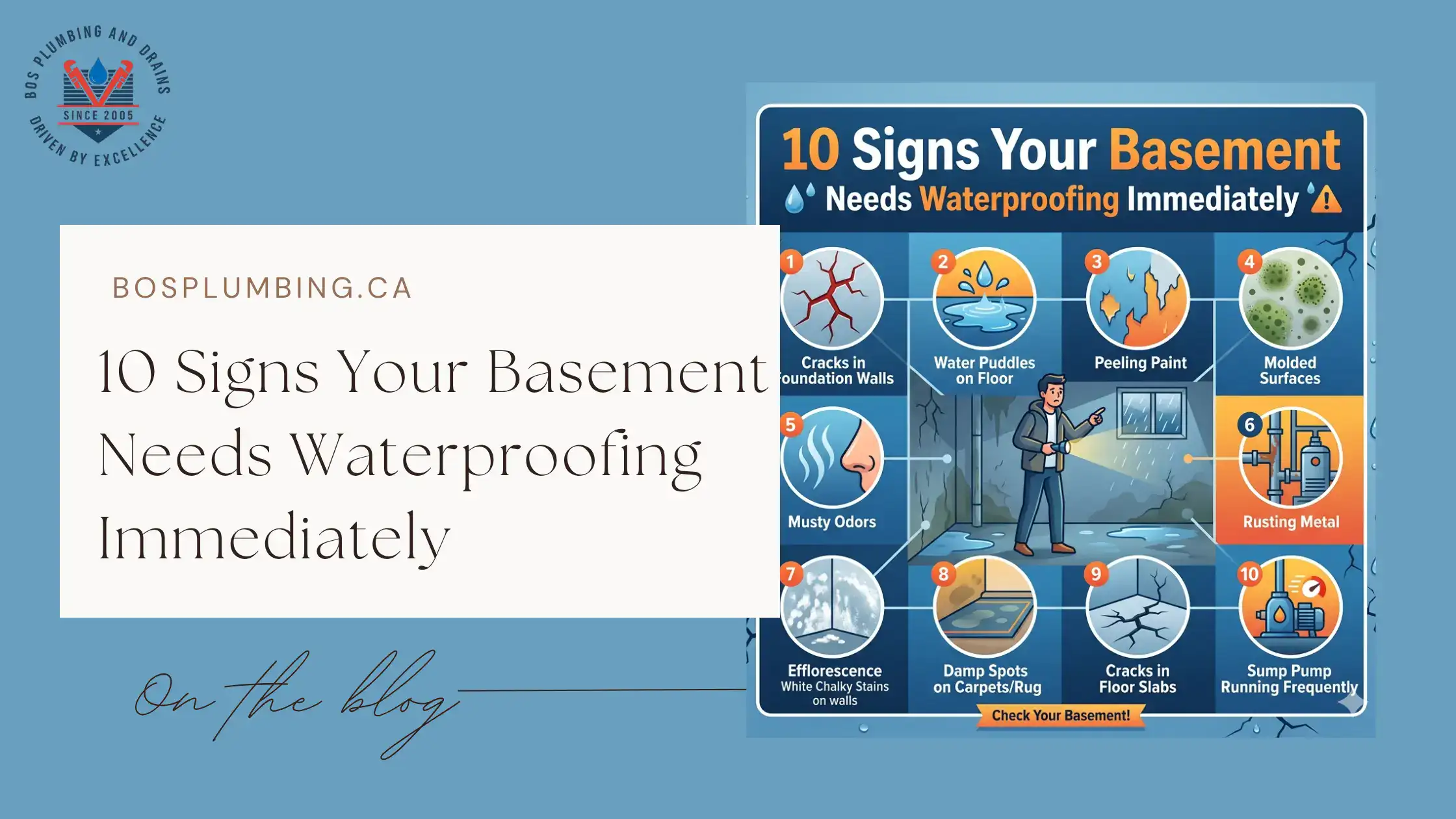 10 Signs Your Basement Needs Waterproofing Immediately