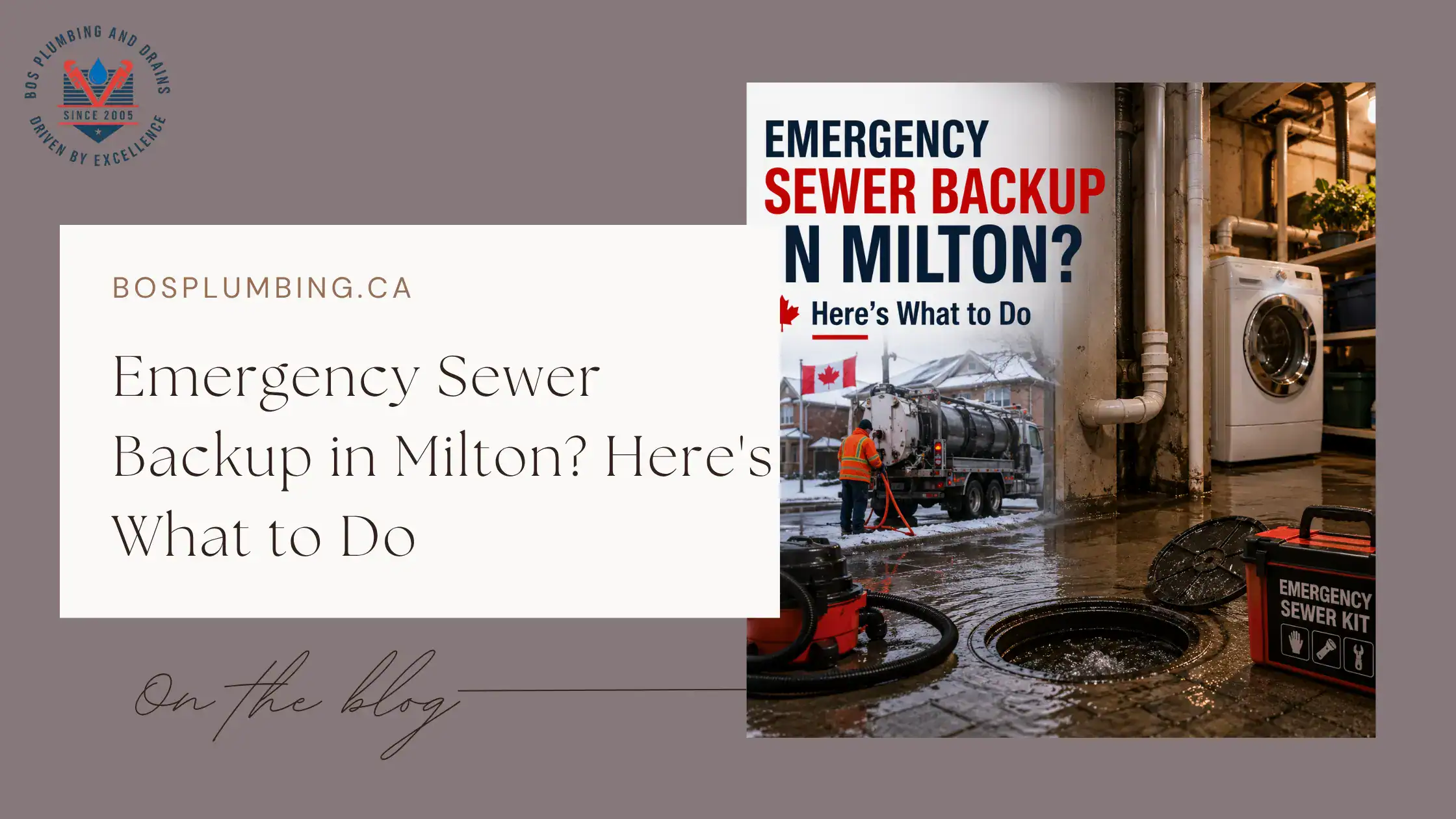 Emergency Sewer Backup in Milton Here's What to Do - Cover