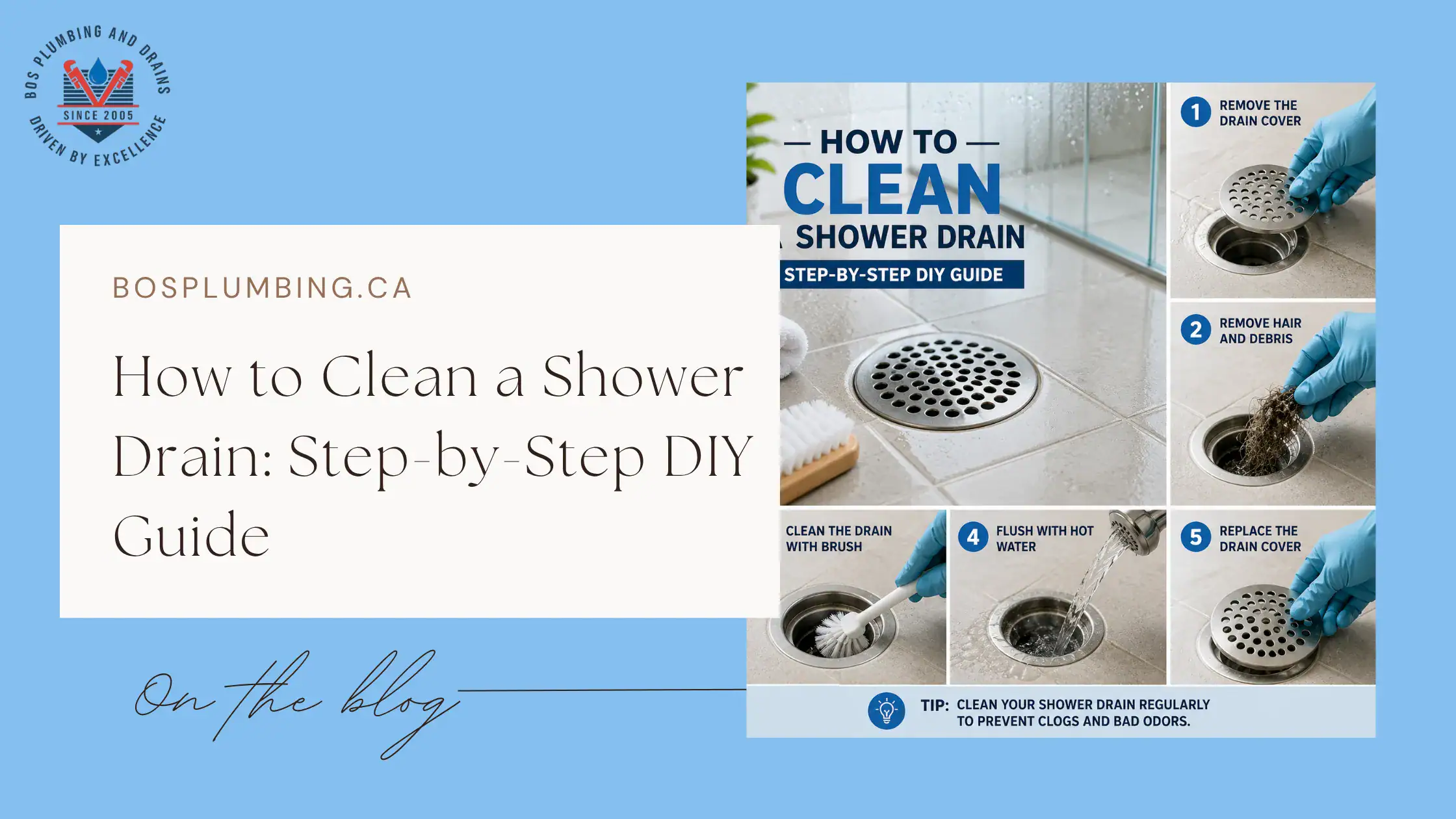 How to Clean a Shower Drain Step-by-Step DIY Guide - Cover
