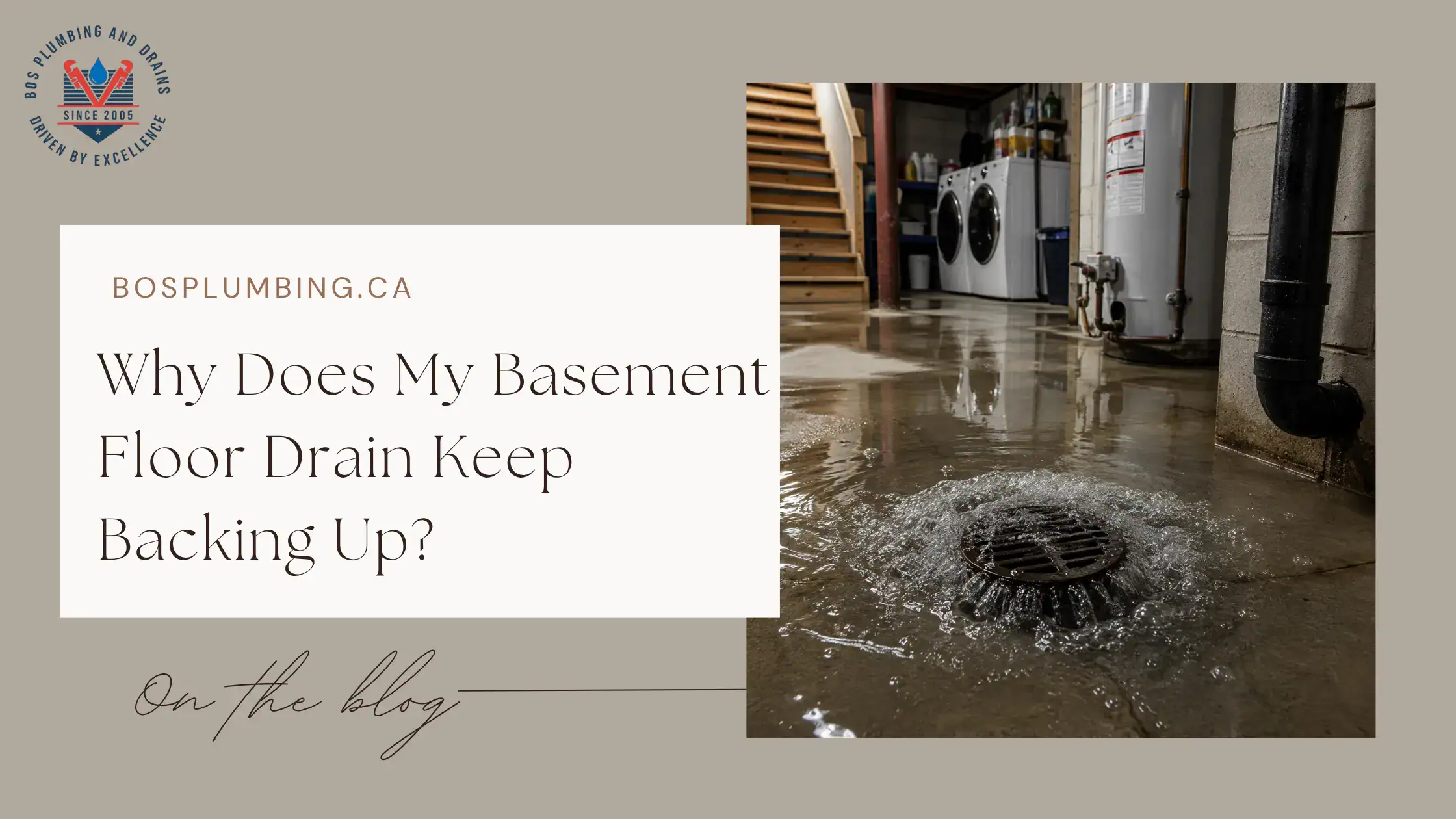 Why Does My Basement Floor Drain Keep Backing Up - Cover
