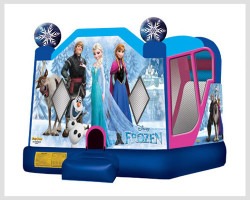 Magical Disney Combo 1