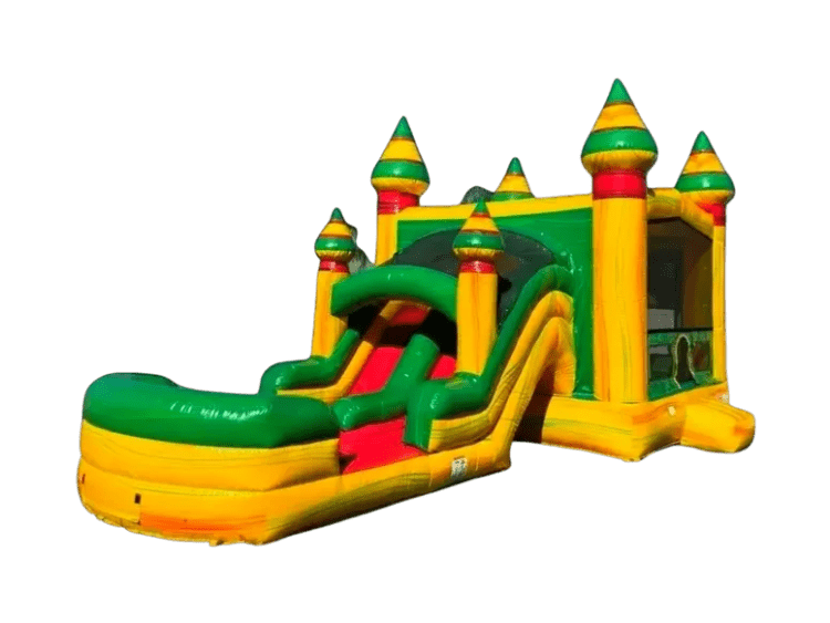 Aloha Falls Dual Lane (Wet/Dry)