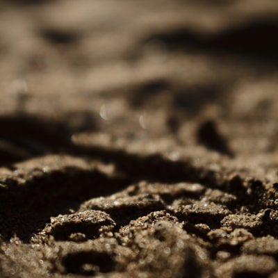 Wie entsteht ein Substrat – vom Rohstoff zur perfekten Pflanzerde