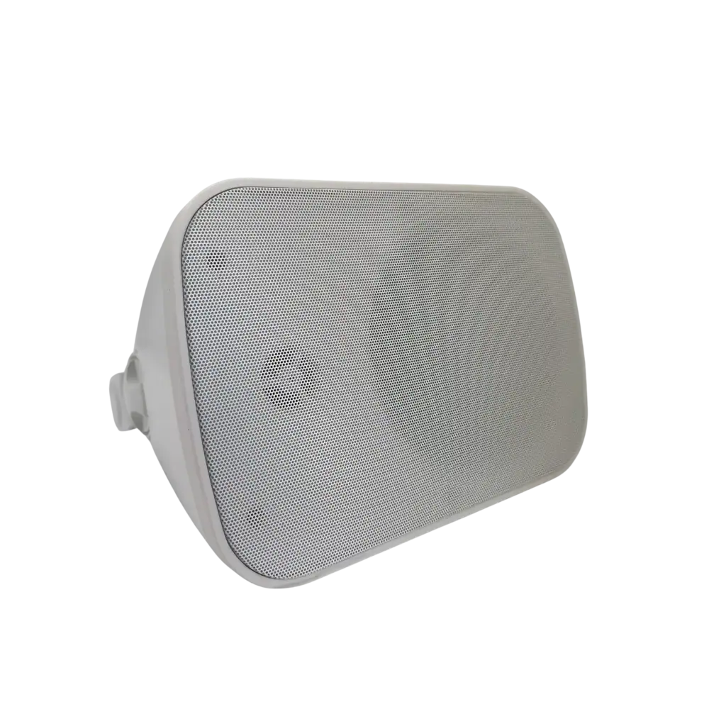 CL Ceiling Speaker