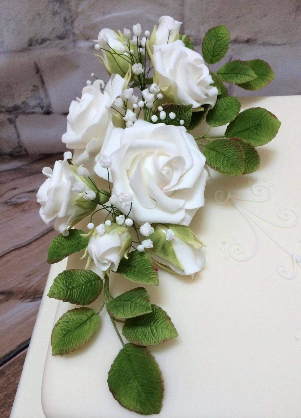 June Tuesday Evening - Roses