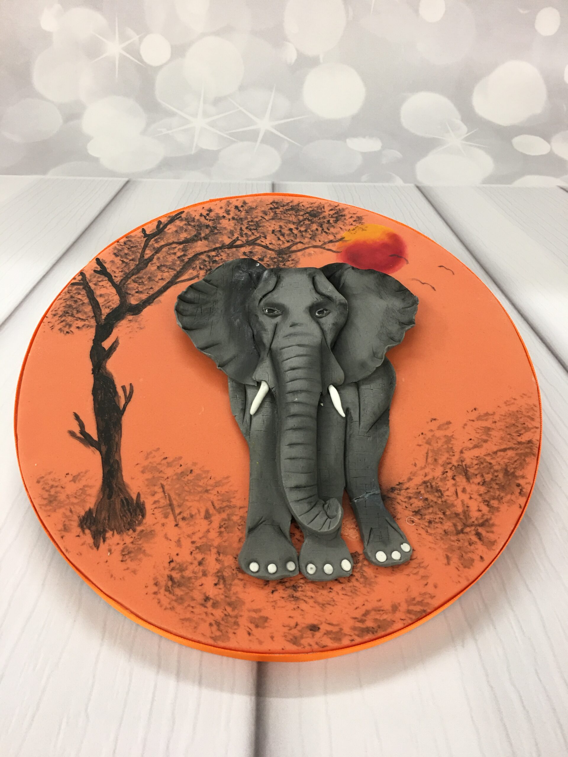 February Wednesday Morning 2D Modelling