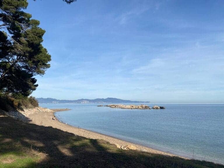 Serene beach scene with clear blue sky, calm ocean water, sandy shoreline, and green trees, showcasing the natural beauty of Can Camades coastal area. Perfect for relaxing or exploring nature.